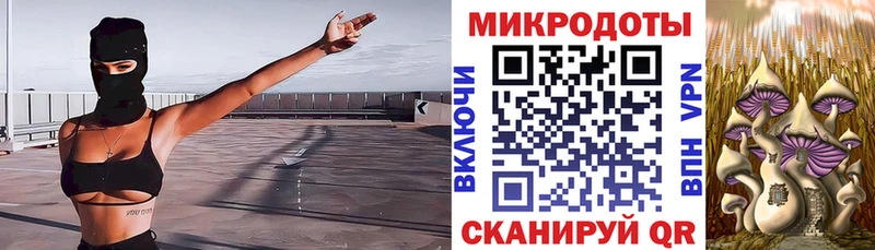наркота Кашира Галлюциногенные грибы Cubensis