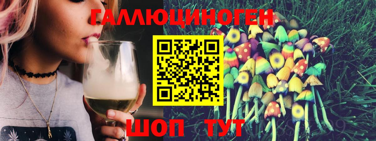 Псилоцибиновые грибы Psilocybe Кашира