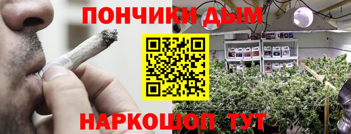 Бошки Шишки план  Шишки марихуана LSD WEED  Кашира  Вход с VPN  Бошки Шишки семена 